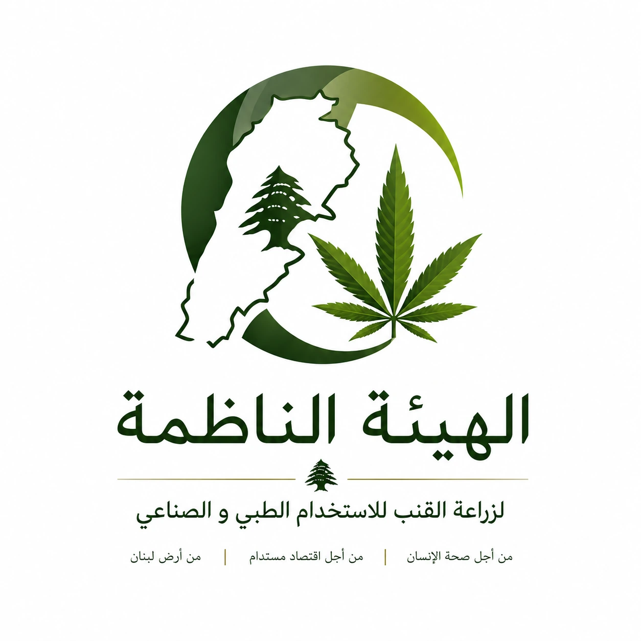 LNCC digital regulatory portal preview