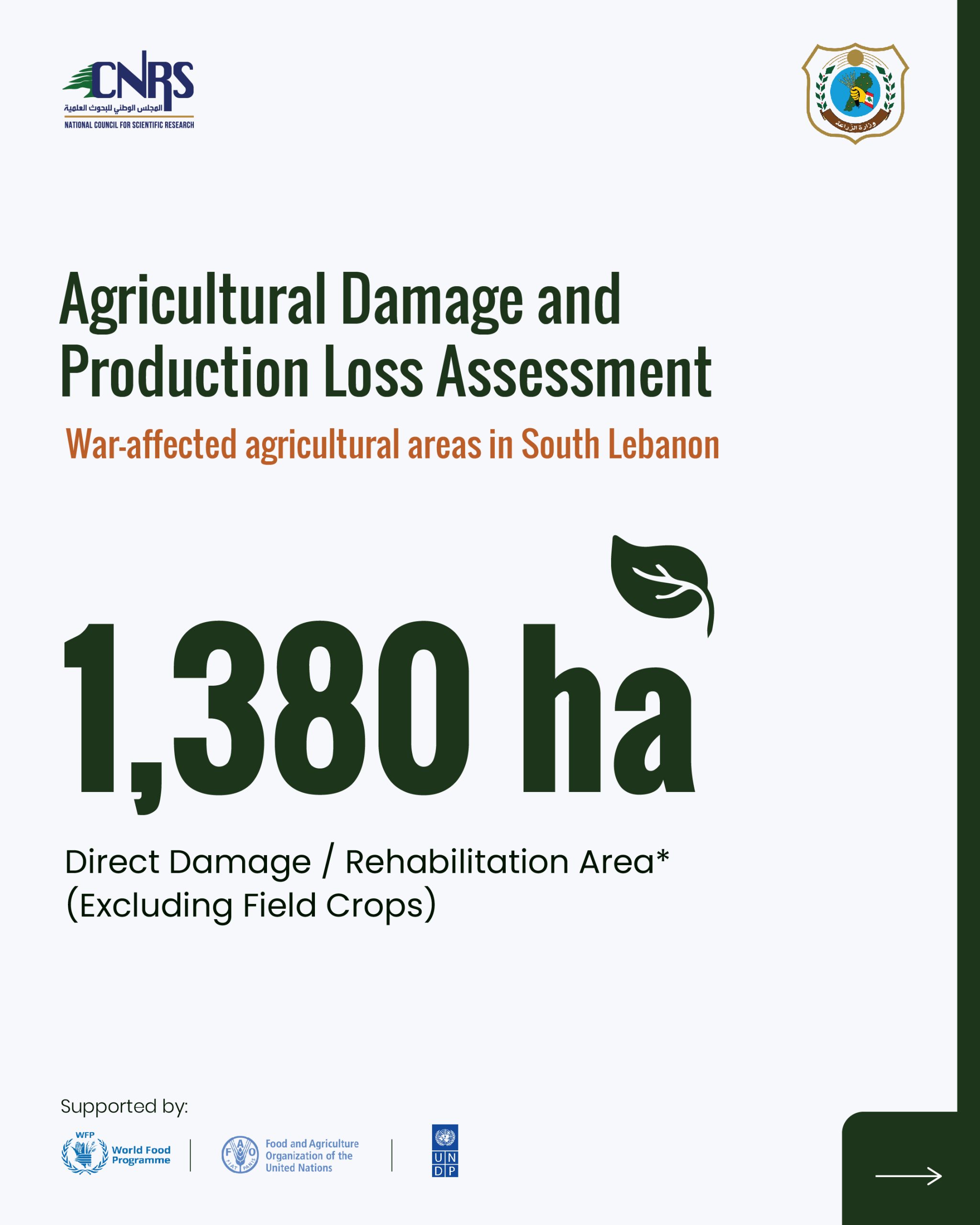 Key findings from the Agricultural Damage and Loss Assessment of war-affected agricultural areas in South Lebanon
