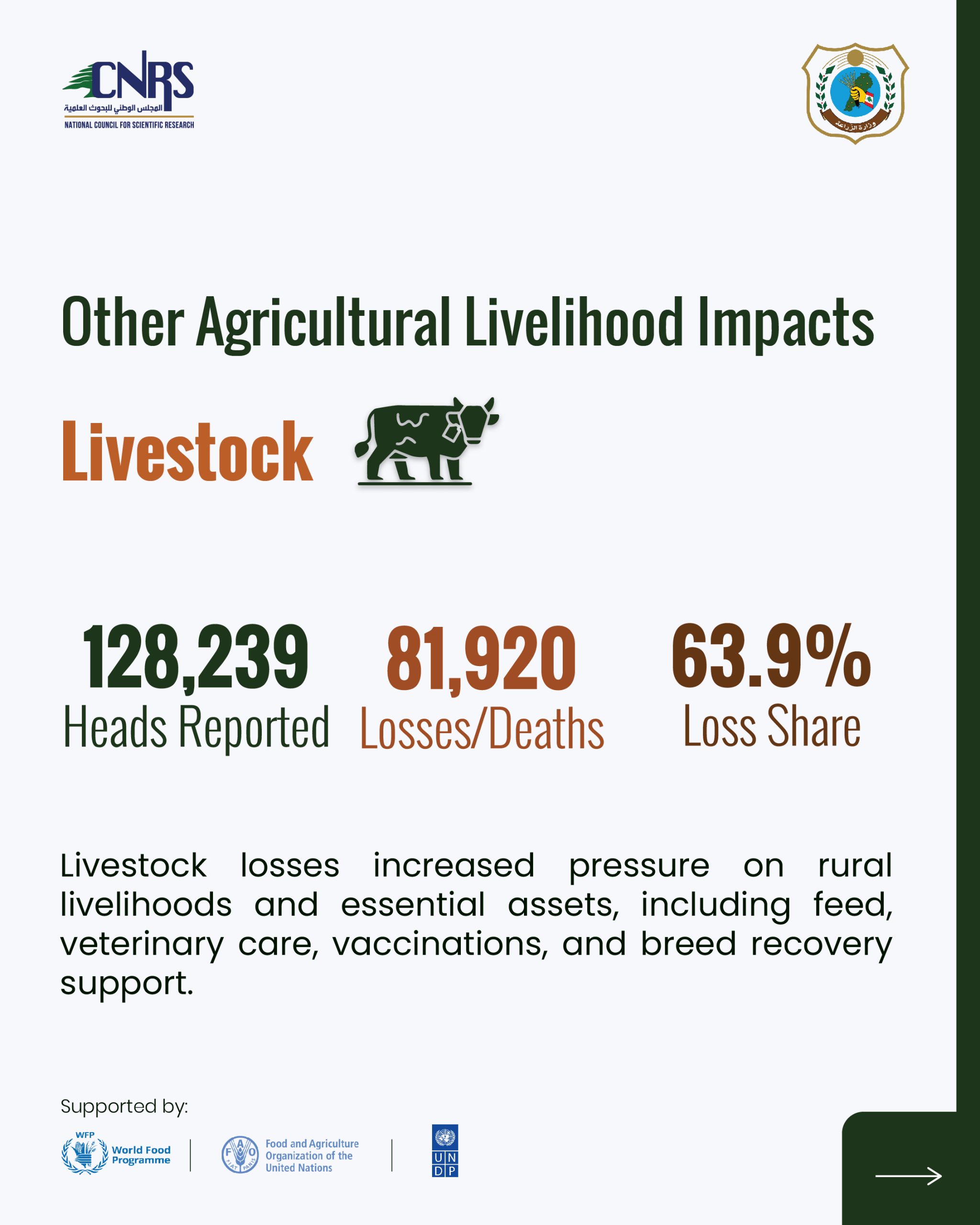 Part 2: Key findings from the Agricultural Damage and Loss Assessment of war-affected agricultural areas in South Lebanon