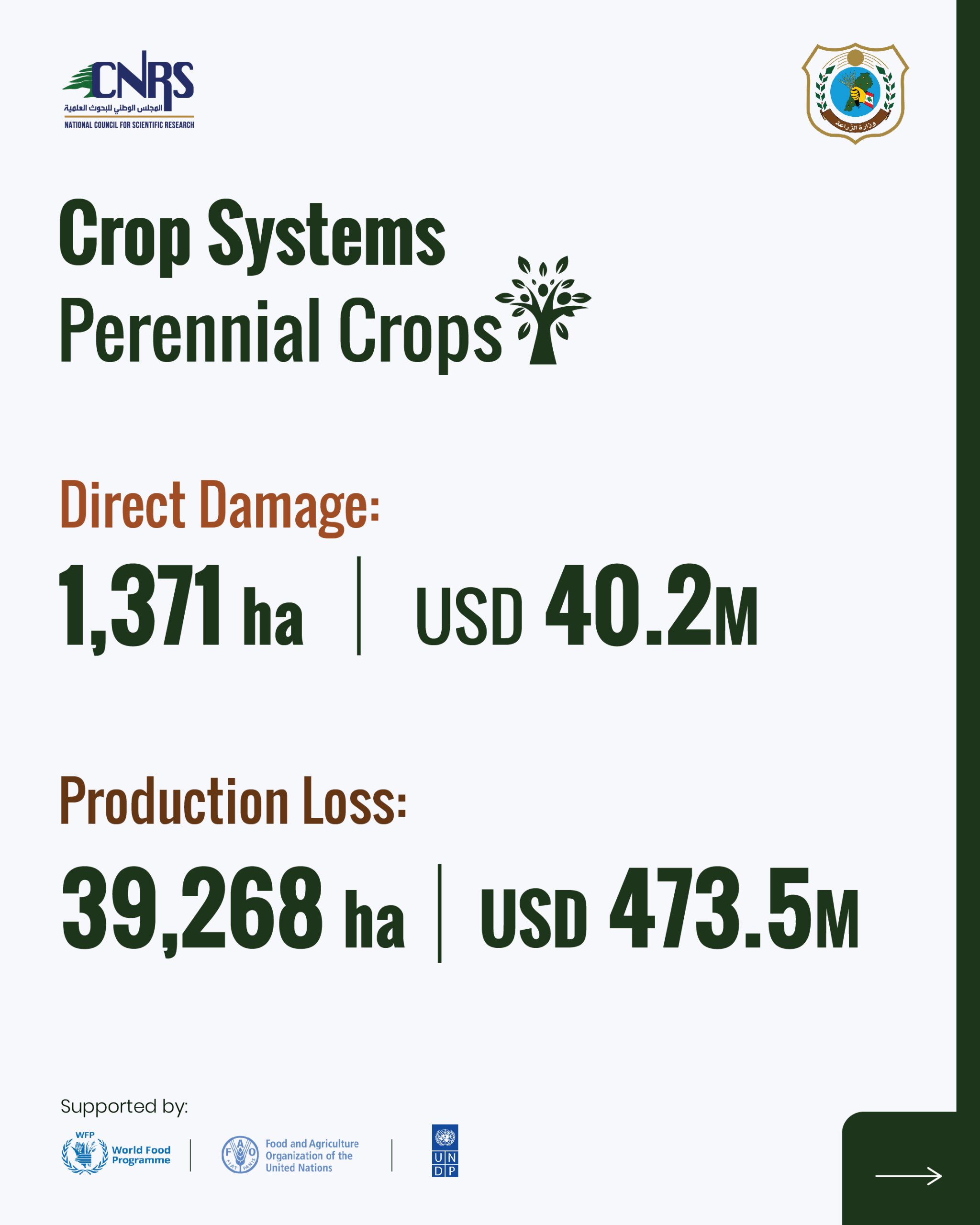 Part 3: Key findings from the Agricultural Damage and Loss Assessment of war-affected agricultural areas in South Lebanon