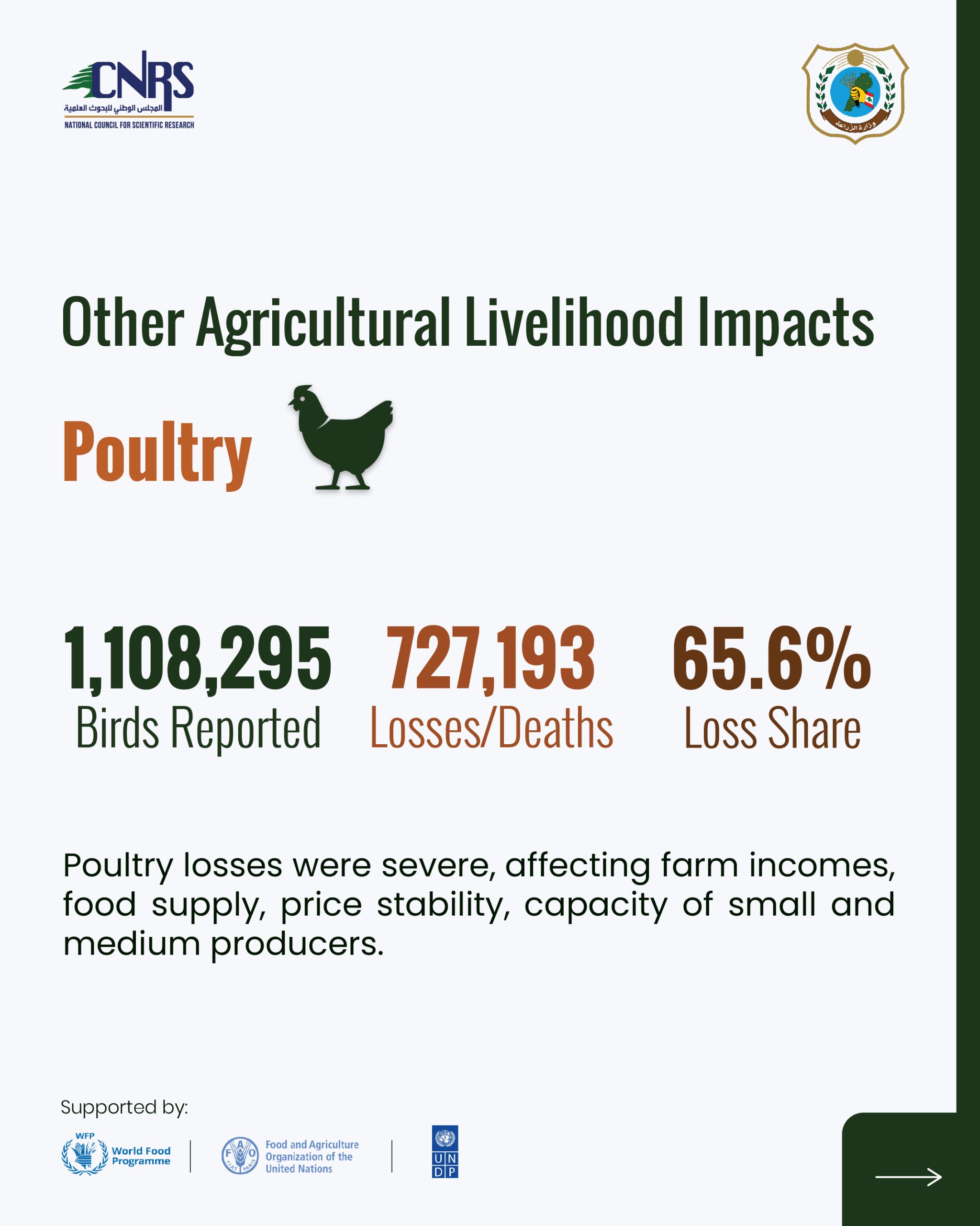 Part 2: Key findings from the Agricultural Damage and Loss Assessment of war-affected agricultural areas in South Lebanon