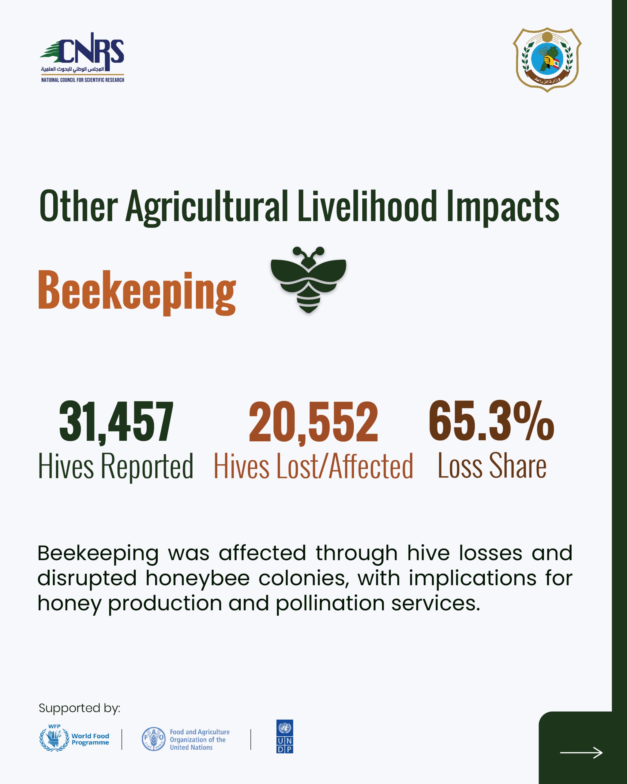 Part 2: Key findings from the Agricultural Damage and Loss Assessment of war-affected agricultural areas in South Lebanon