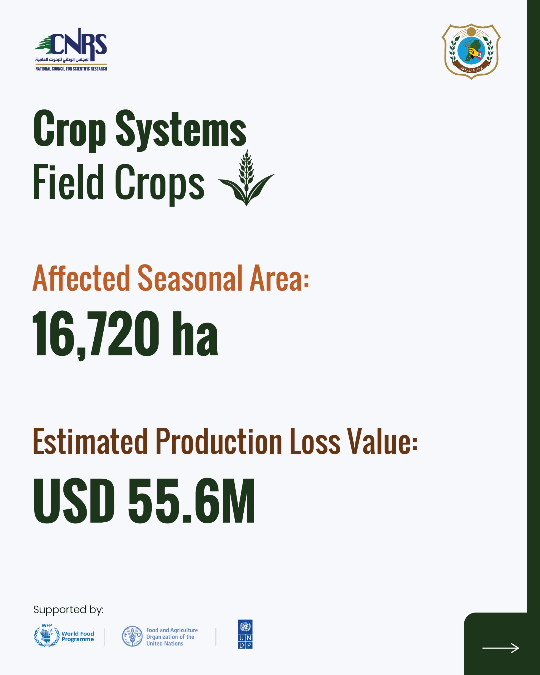 Part 3: Key findings from the Agricultural Damage and Loss Assessment of war-affected agricultural areas in South Lebanon