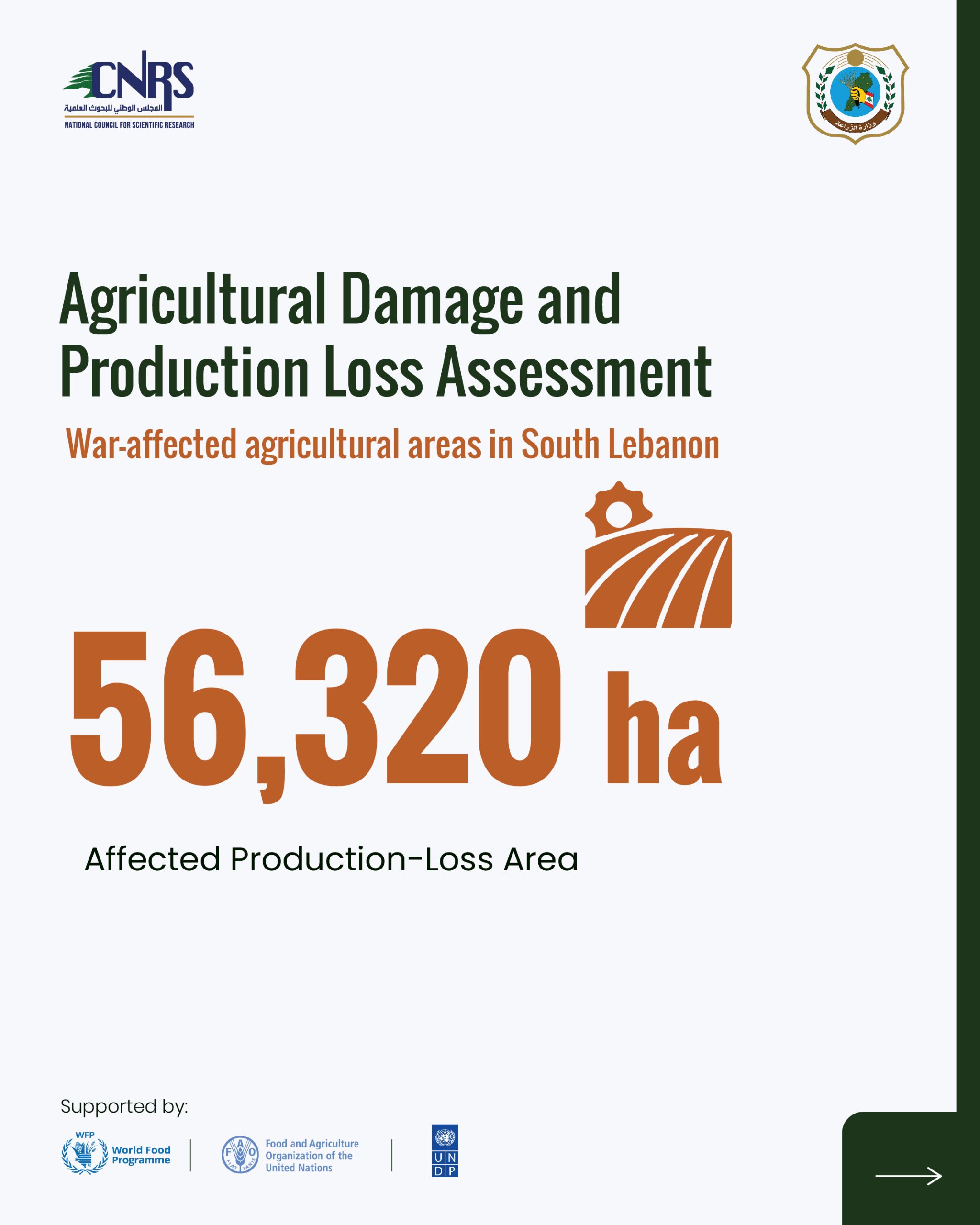 Key findings from the Agricultural Damage and Loss Assessment of war-affected agricultural areas in South Lebanon