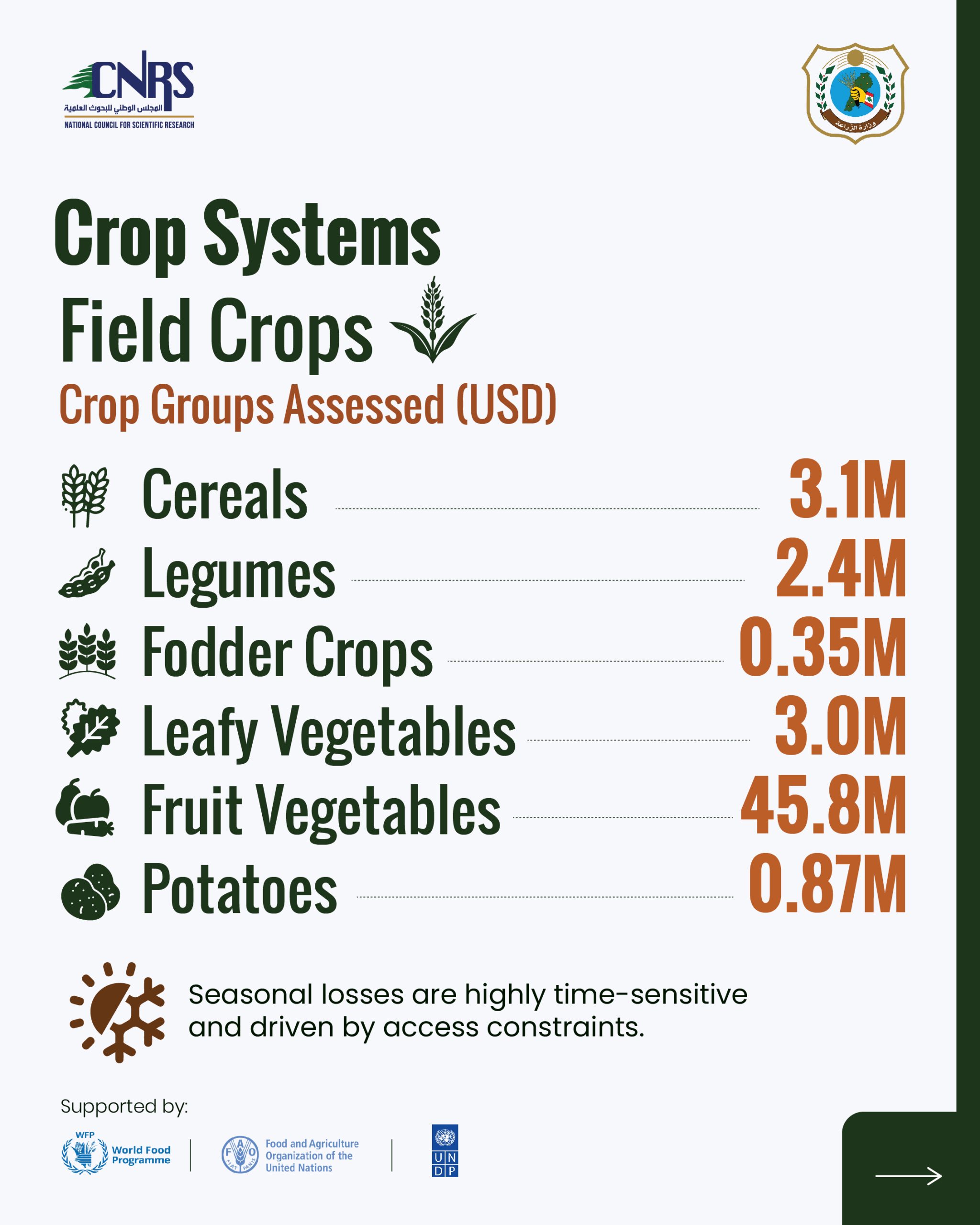 Part 3: Key findings from the Agricultural Damage and Loss Assessment of war-affected agricultural areas in South Lebanon