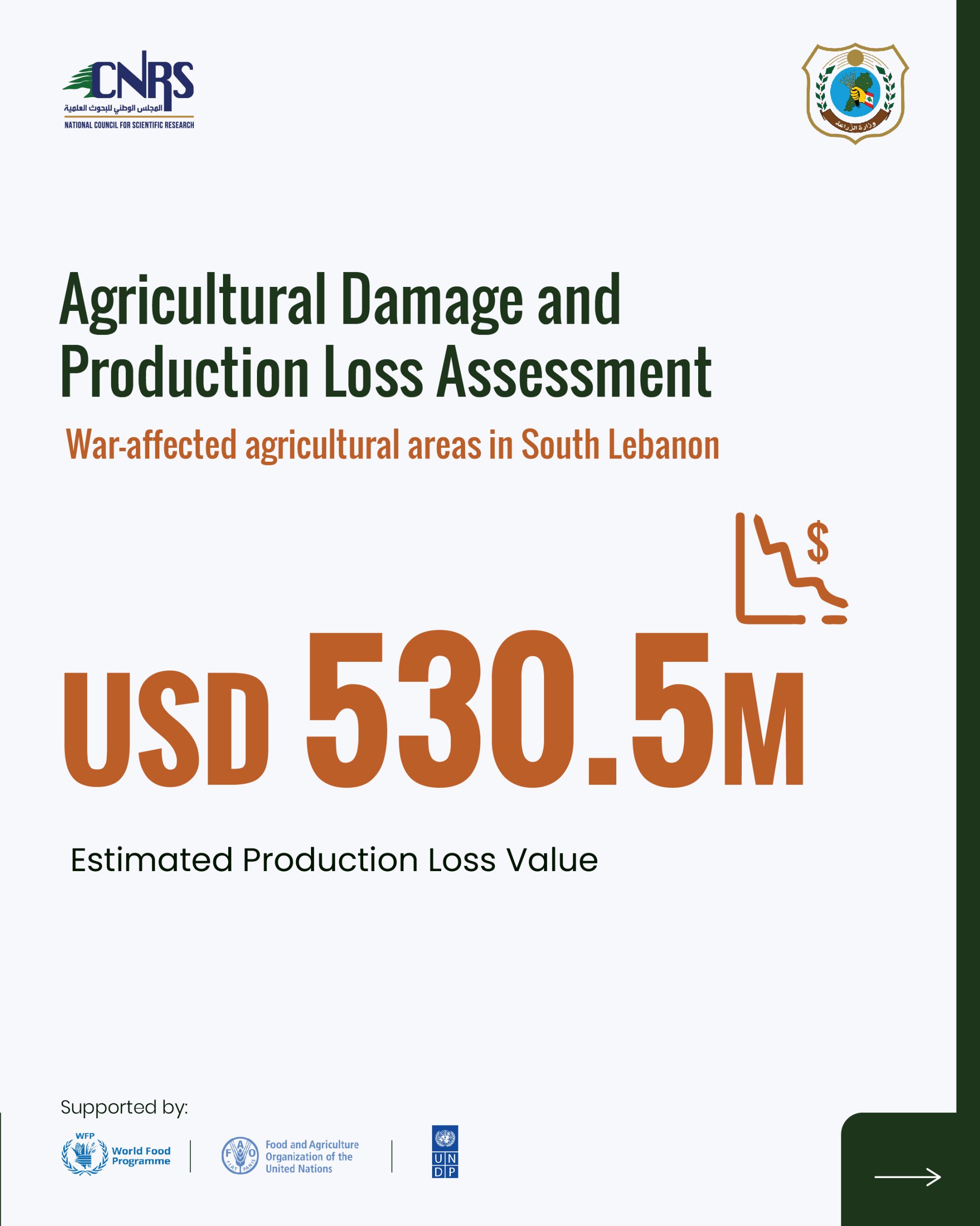 Key findings from the Agricultural Damage and Loss Assessment of war-affected agricultural areas in South Lebanon