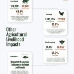 Part 2: Key findings from the Agricultural Damage and Loss Assessment of war-affected agricultural areas in South Lebanon