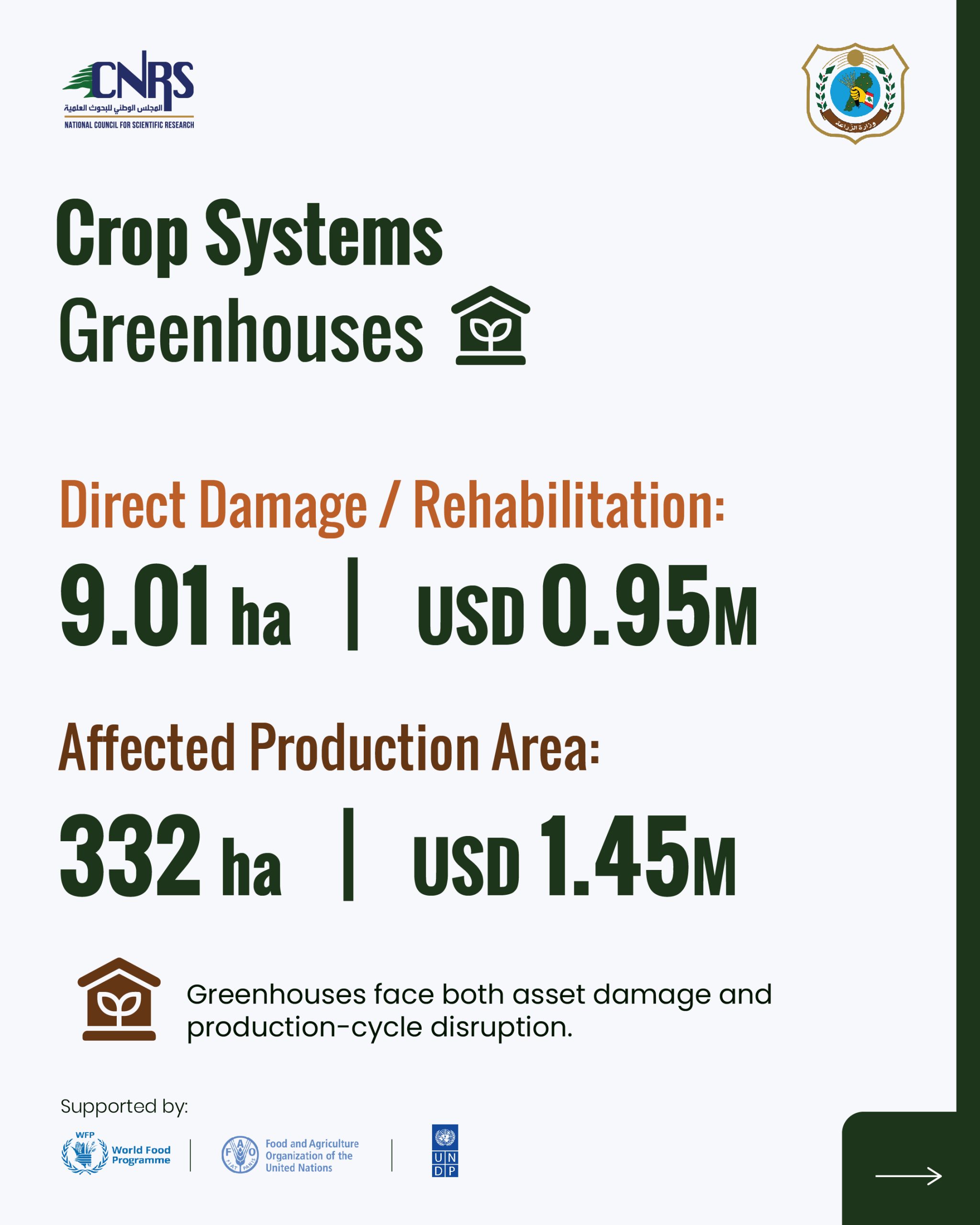 Part 3: Key findings from the Agricultural Damage and Loss Assessment of war-affected agricultural areas in South Lebanon