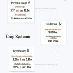 Part 3: Key findings from the Agricultural Damage and Loss Assessment of war-affected agricultural areas in South Lebanon