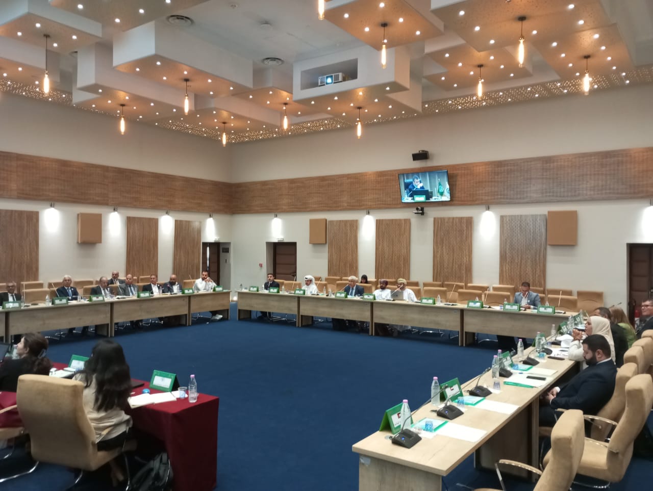 Representative from NCNE Participates in the Regional Workshop and Meeting of the Arab Urban Resilience Committee in Algeria